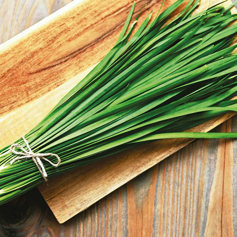 Figura 01 - Alho-nirá