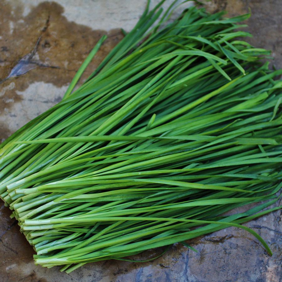 Figura 06 - Alho-nirá