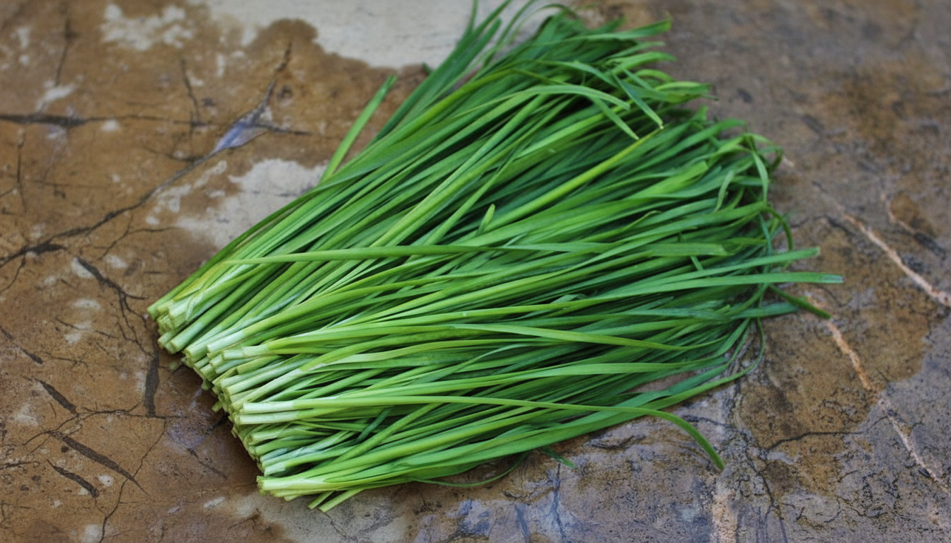 Figura 06 - Alho-nirá