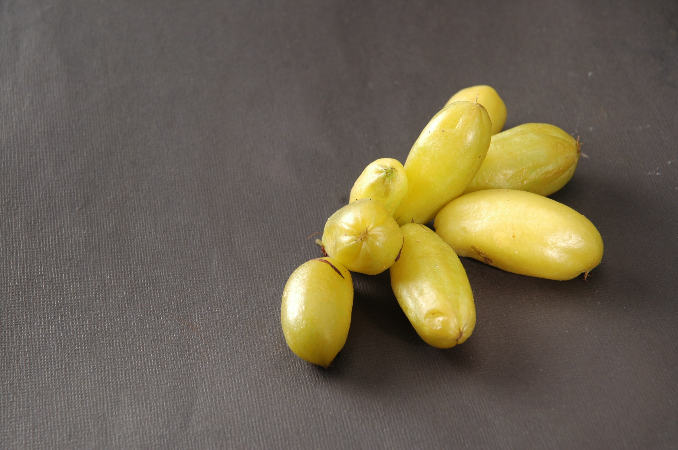 Figura 06 - Biribiri