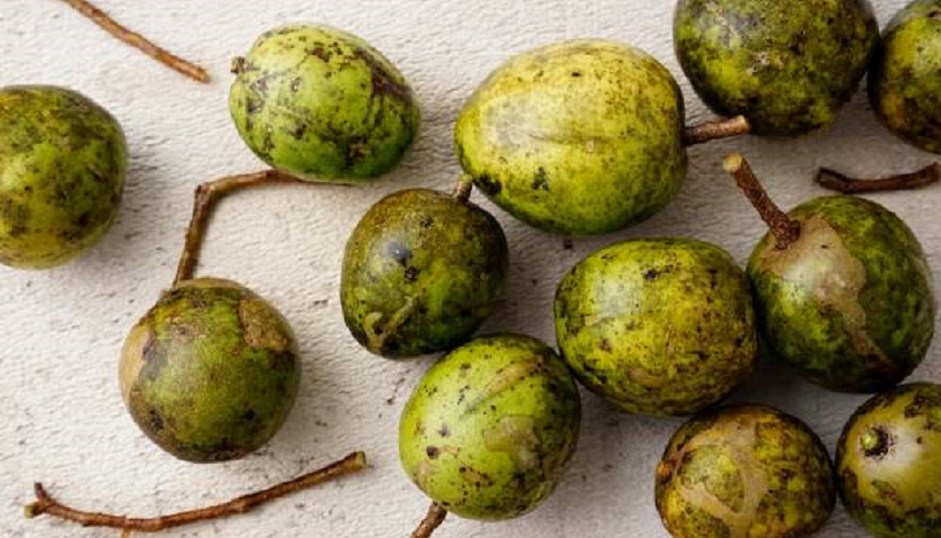 Figura 02 - Cajazinho