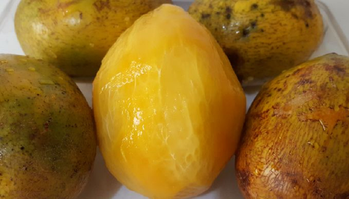 Figura 05 - Cajazinho