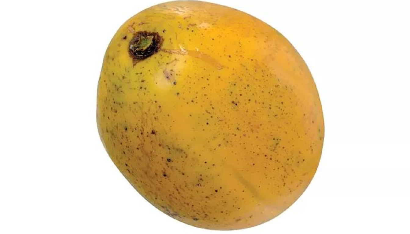 Figura 06 - Cajazinho