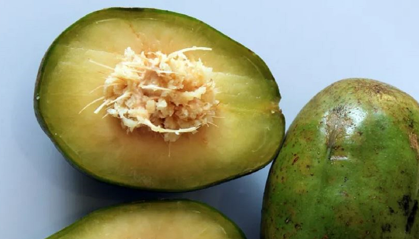 Figura 08 - Cajazinho