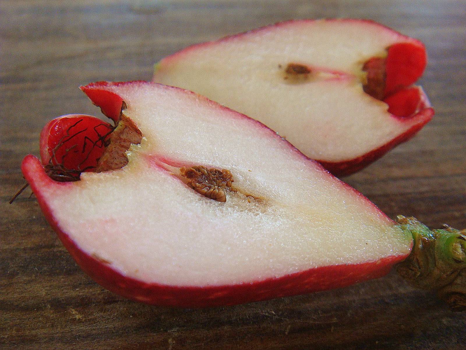 Figura 05 - Jambo Roxo