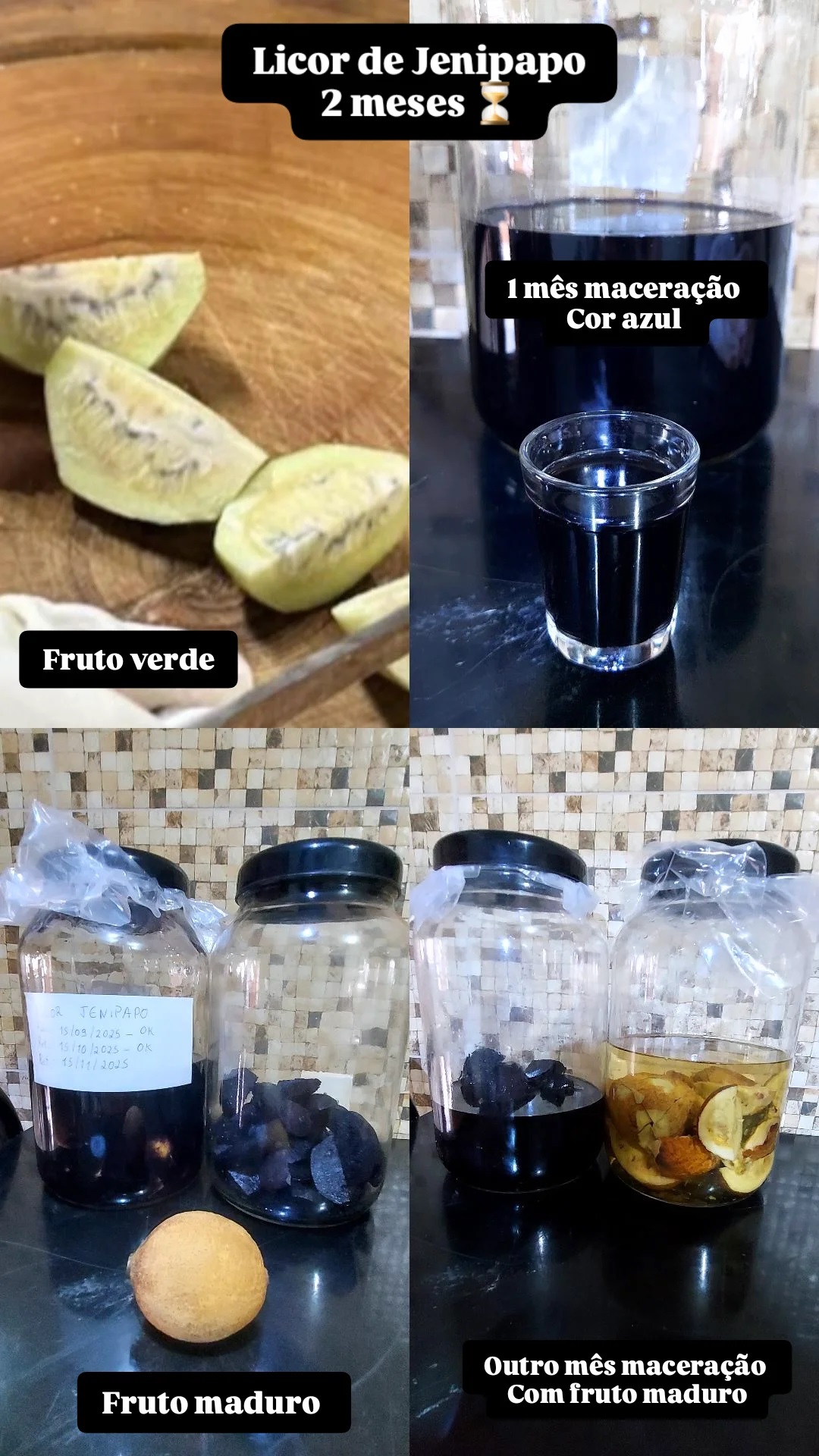 Figura 10 -  Processo do Licor de Jenipapo