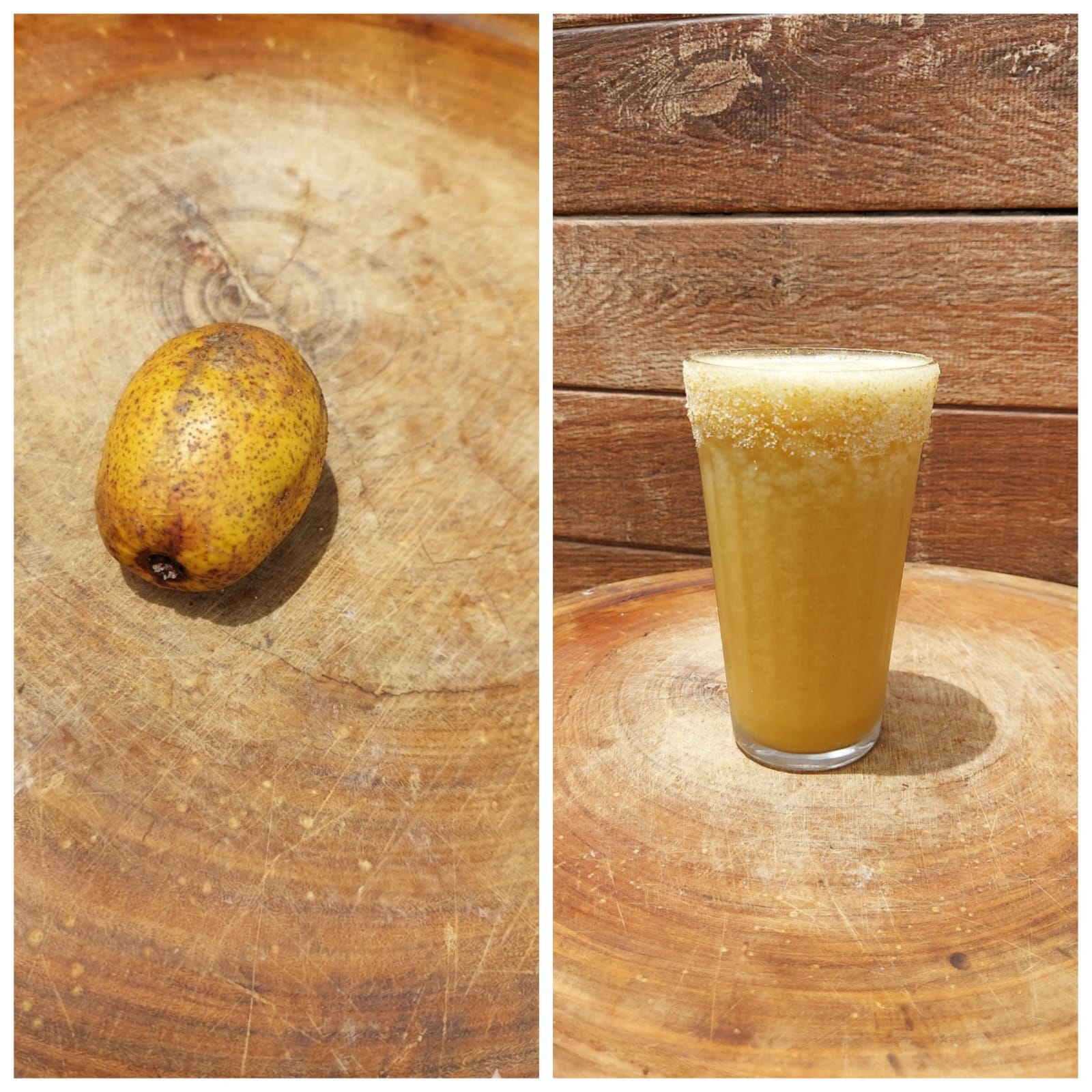 Cajazinho (Spondias mombin):