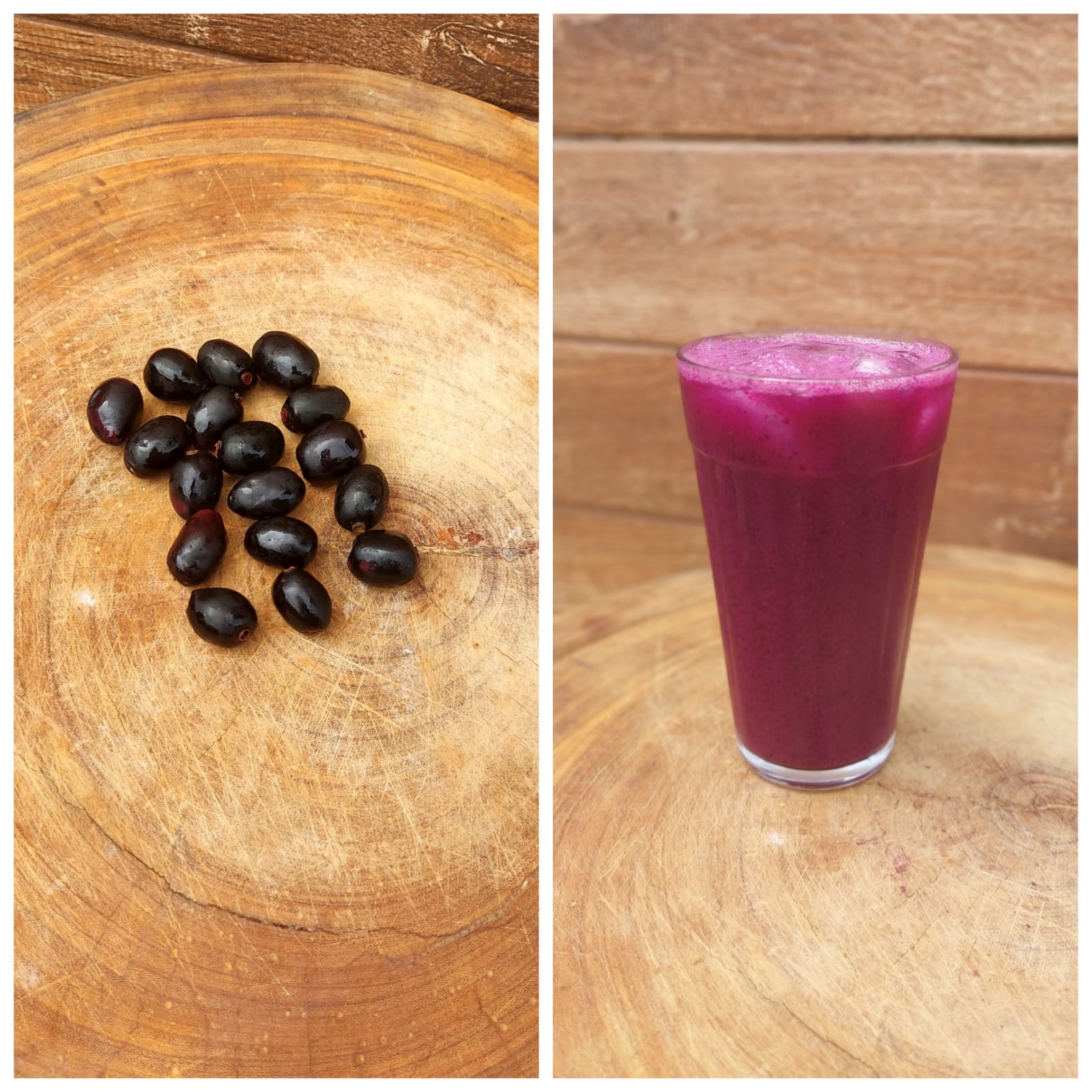 Jamelão (Syzygium cumini (L.) Skeels):