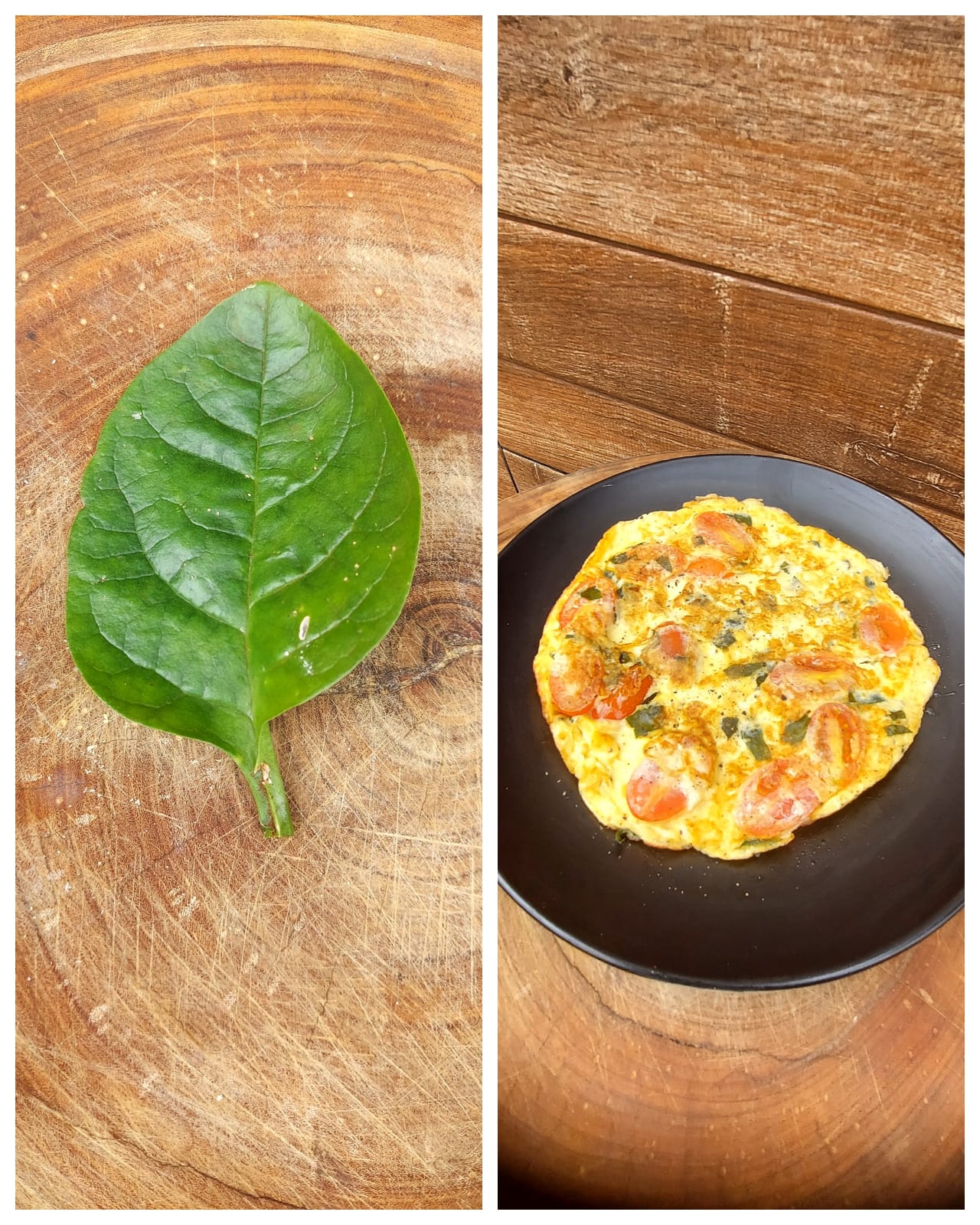 Bertalha (Basella alba):