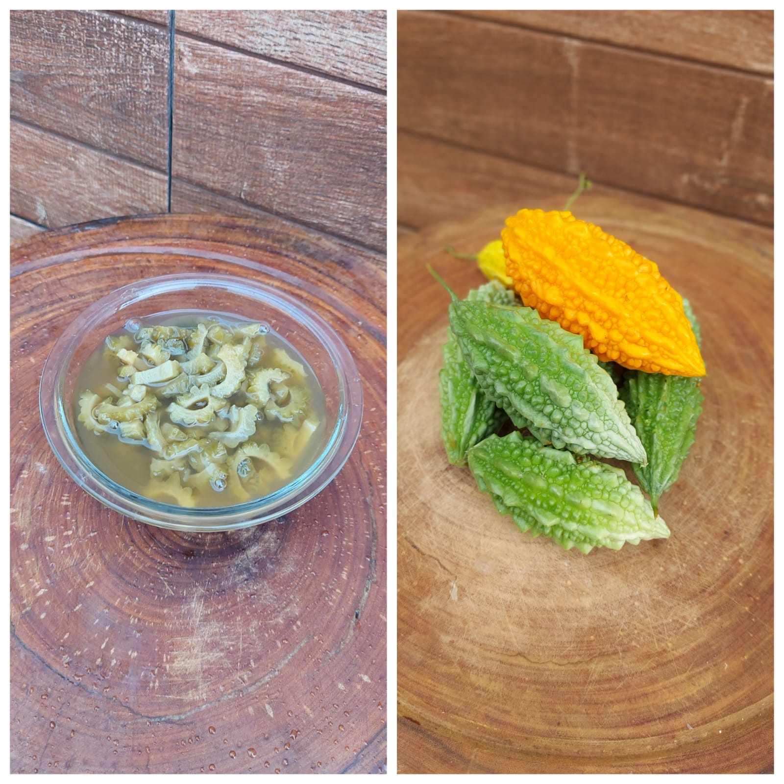 Melão-de-São-Caetano (Momordica charantia L.):