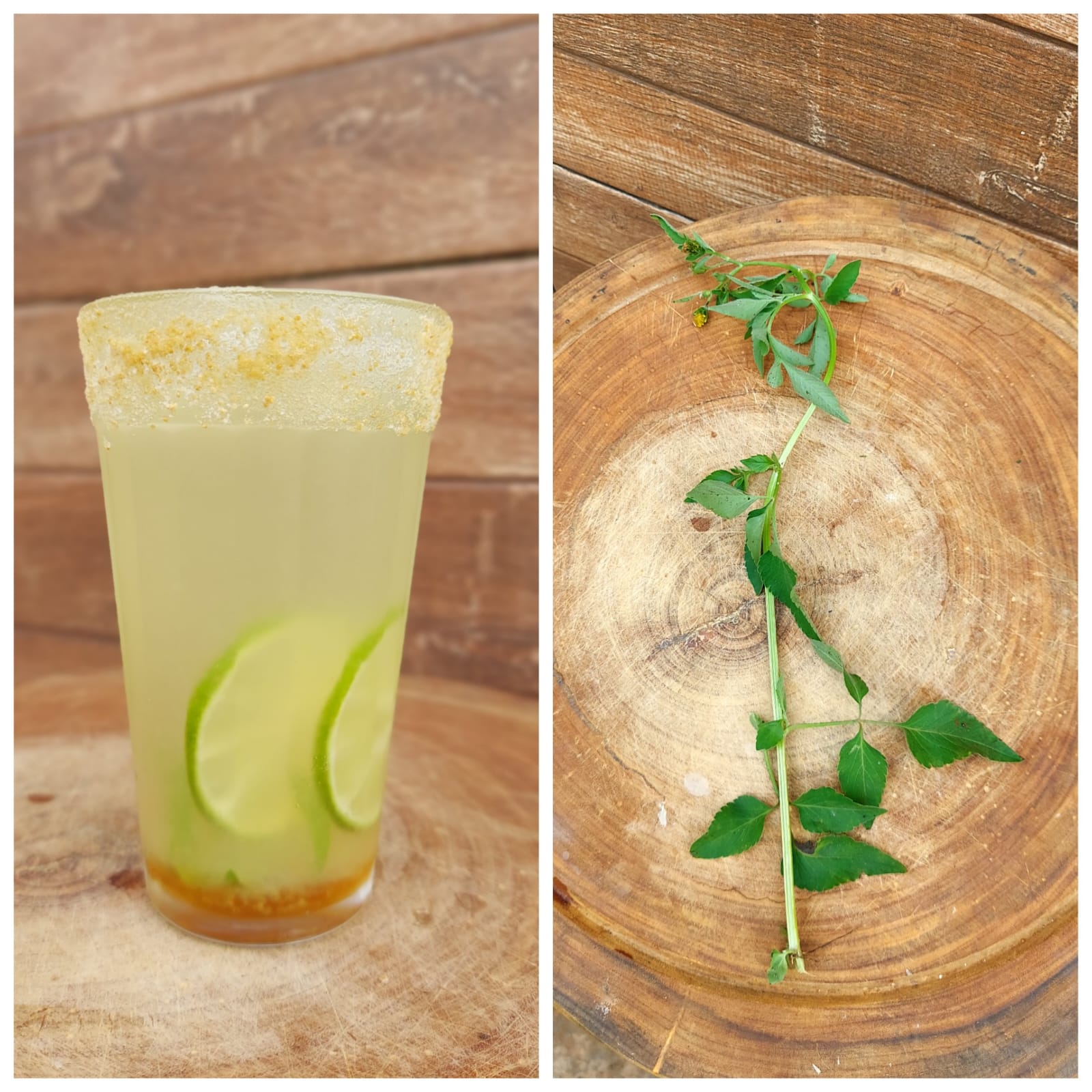 Picão-preto - (Bidens pilosa):