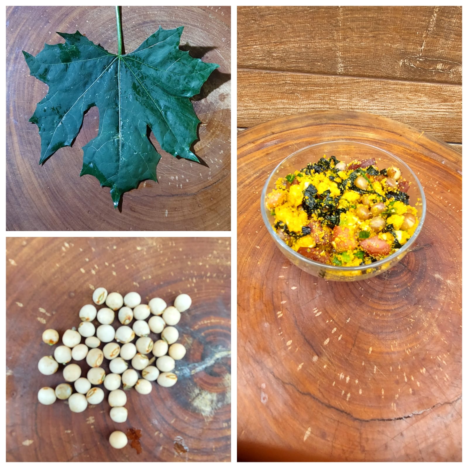 Chaya - (Cnidoscolus aconitifolius):