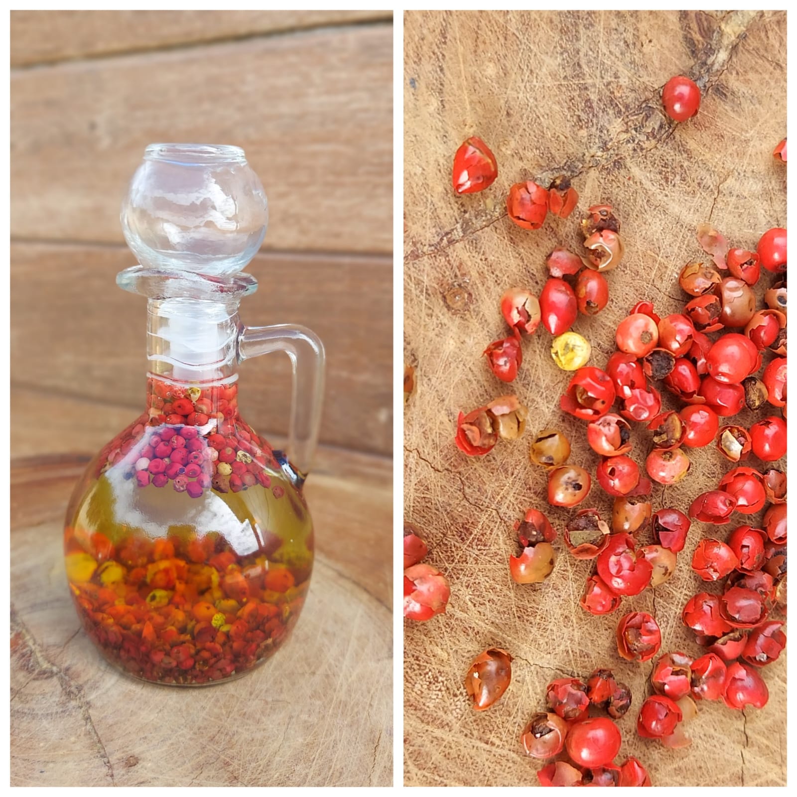 Aroeira (Schinus terebinthifolia):