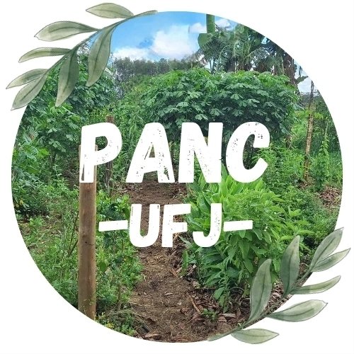 Figura 01 - Logo PANC UFJ