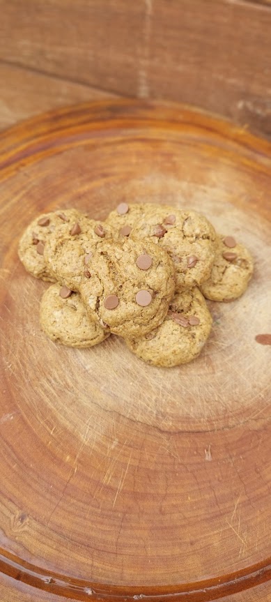 Figura 12 - Cookie de Jatobá